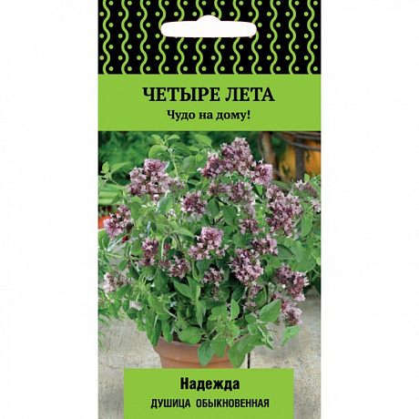 Душица обыкновенная Надежда фото Душица обыкновенная Надежда 